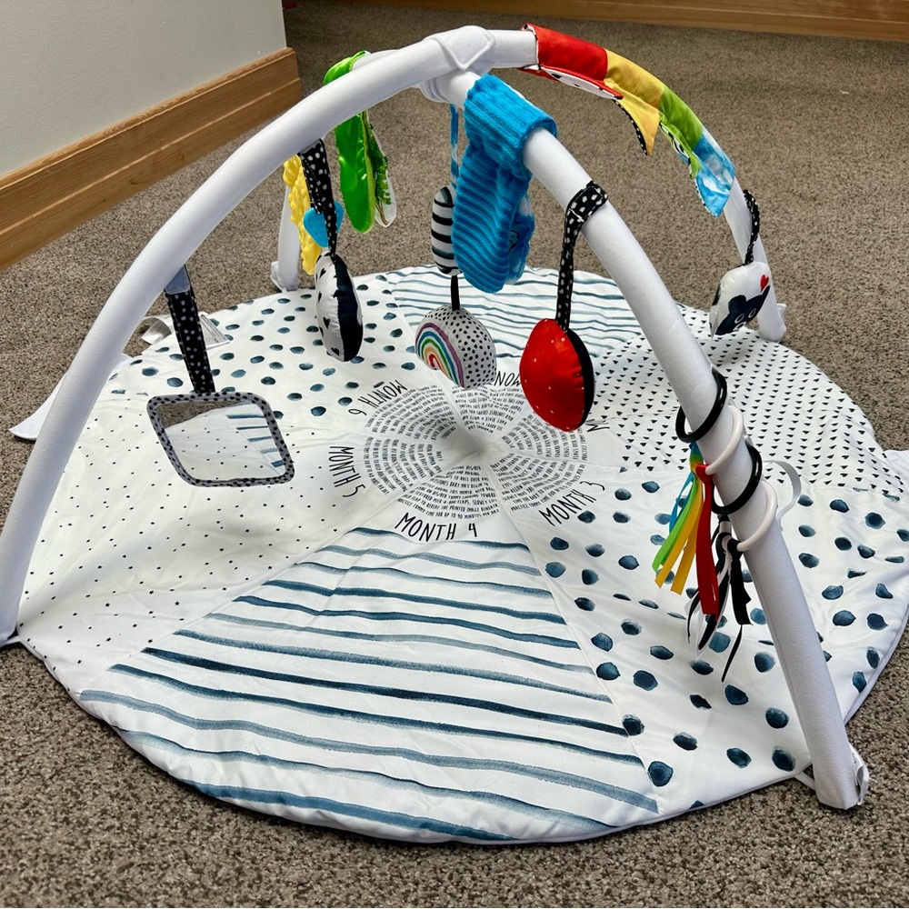 Sassy Stages Baby Play Gym & Tummy Time Activity Mat – Complete Set